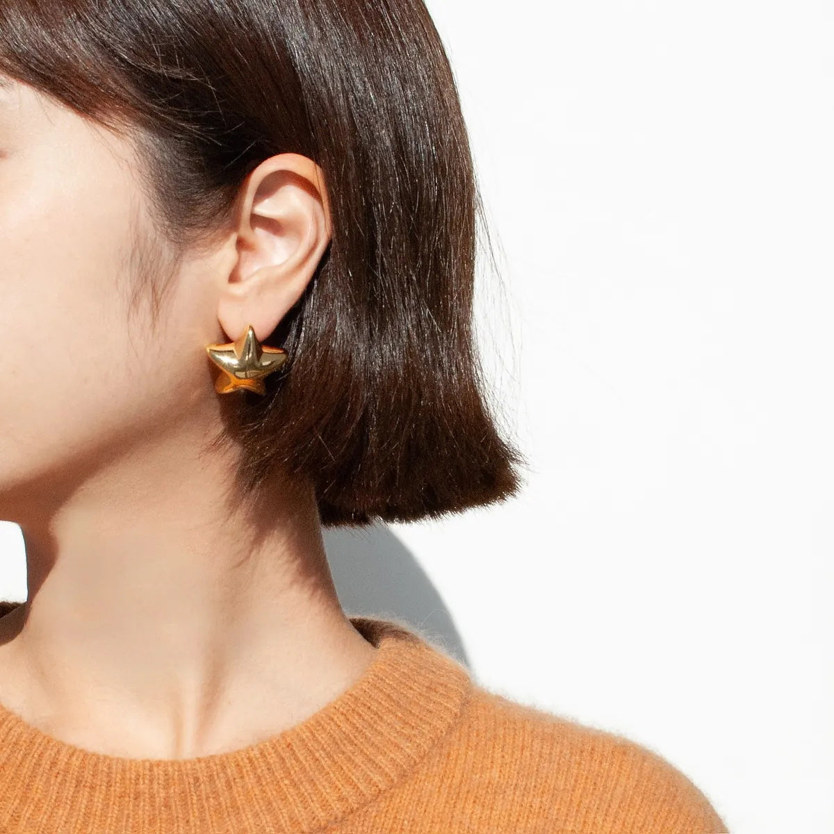 Stainless Steel Star Stud Earrings Gold One Size